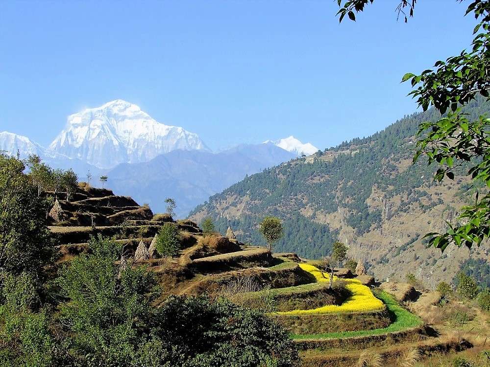 mohare-danda-(4)